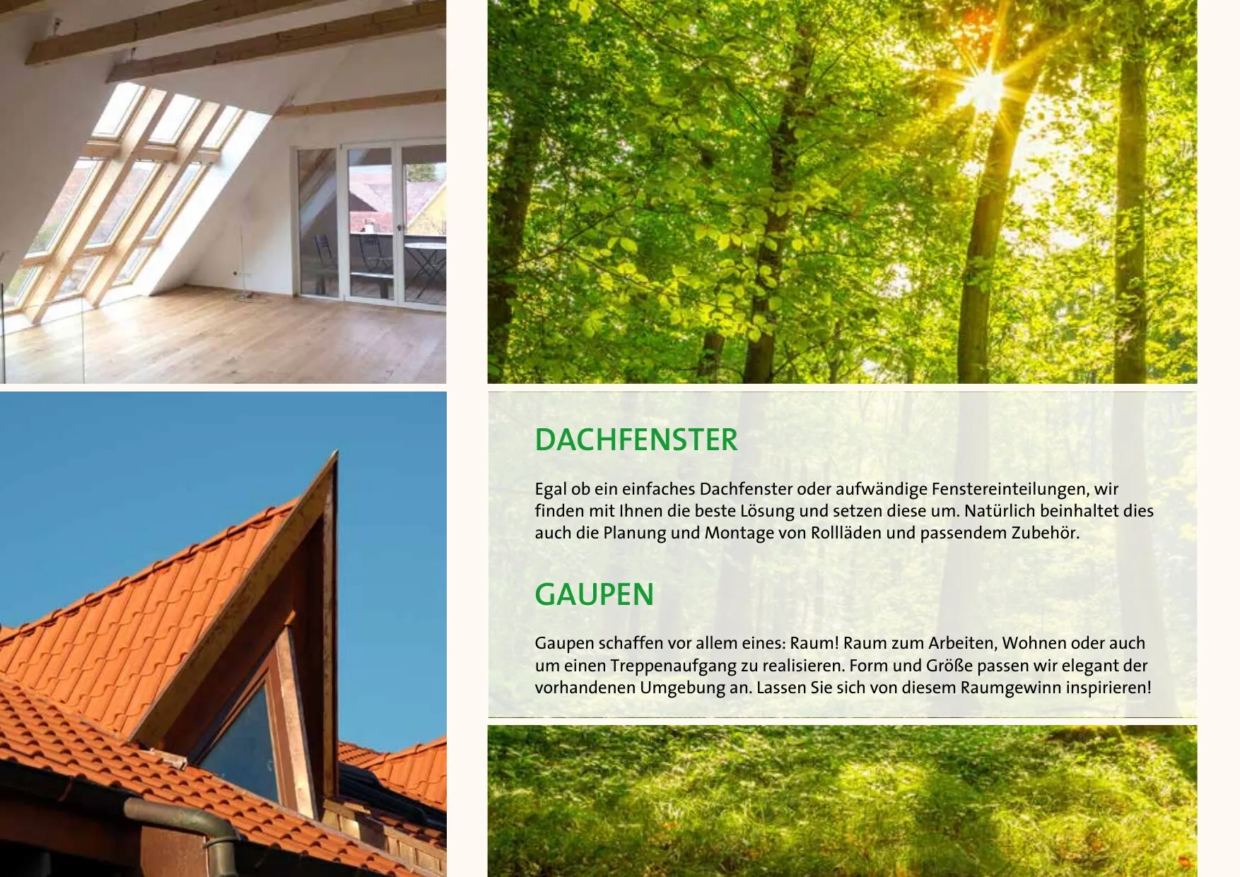 Prospektseite 10 von 16 – Dachfenster und Gaupen