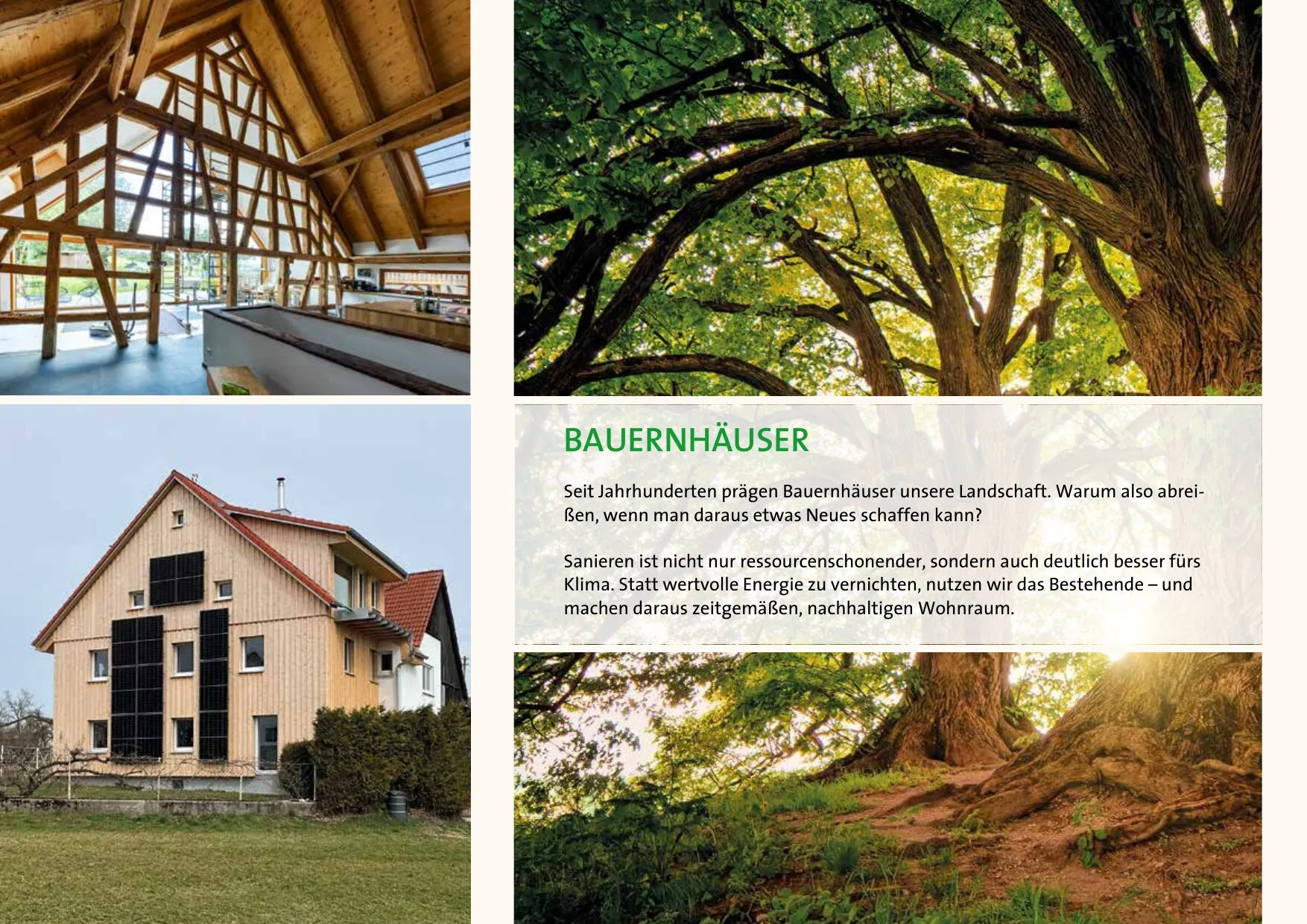 Prospektseite 12 von 16 – Bauernhäuser sanieren statt abreißen