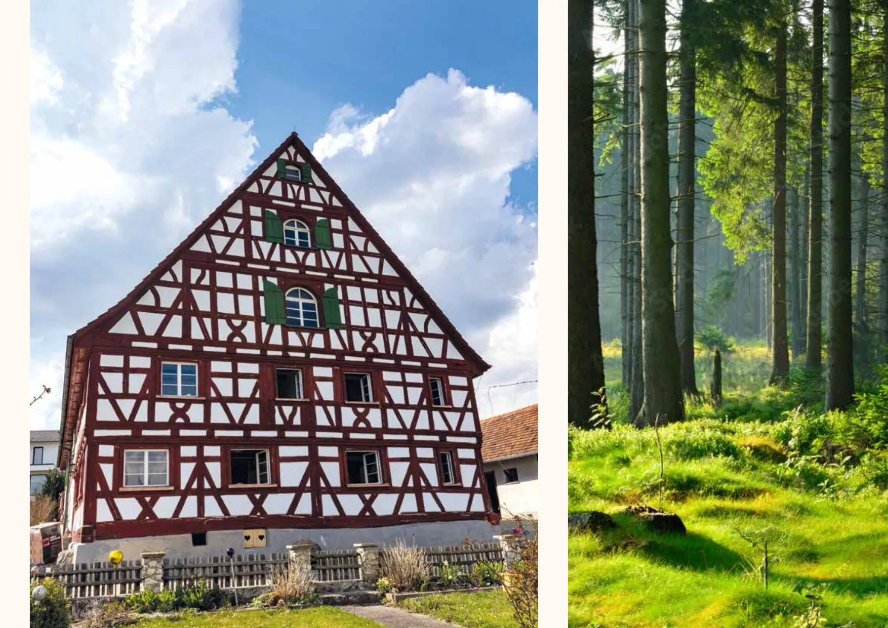 Prospektseite 15 von 16 – Bildseite: restauriertes Fachwerkhaus und Wald